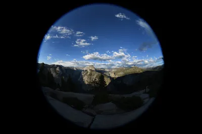 DSC_4196 (Large).JPG